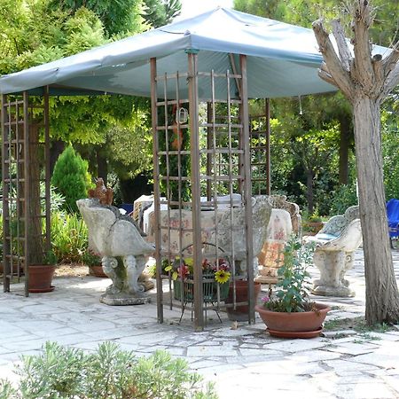 Bed&Breakfast Giardino Agritourist Controguerra Εξωτερικό φωτογραφία